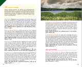 Guide Tao Belgique numérique