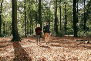 La Wallonie sans voiture !