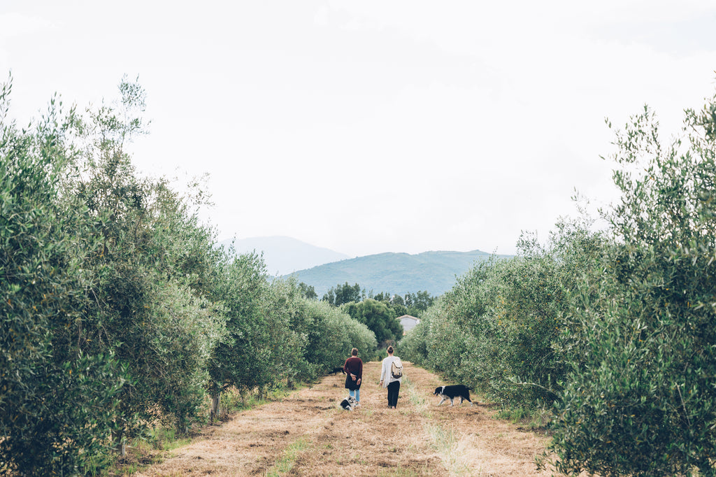 La Corse Orientale : une destination écotouristique et engagée