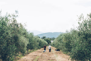 La Corse Orientale : une destination écotouristique et engagée