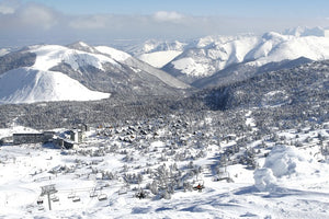 6 adresses pour voyager engagé à Arette et pour skier éco-responsable !