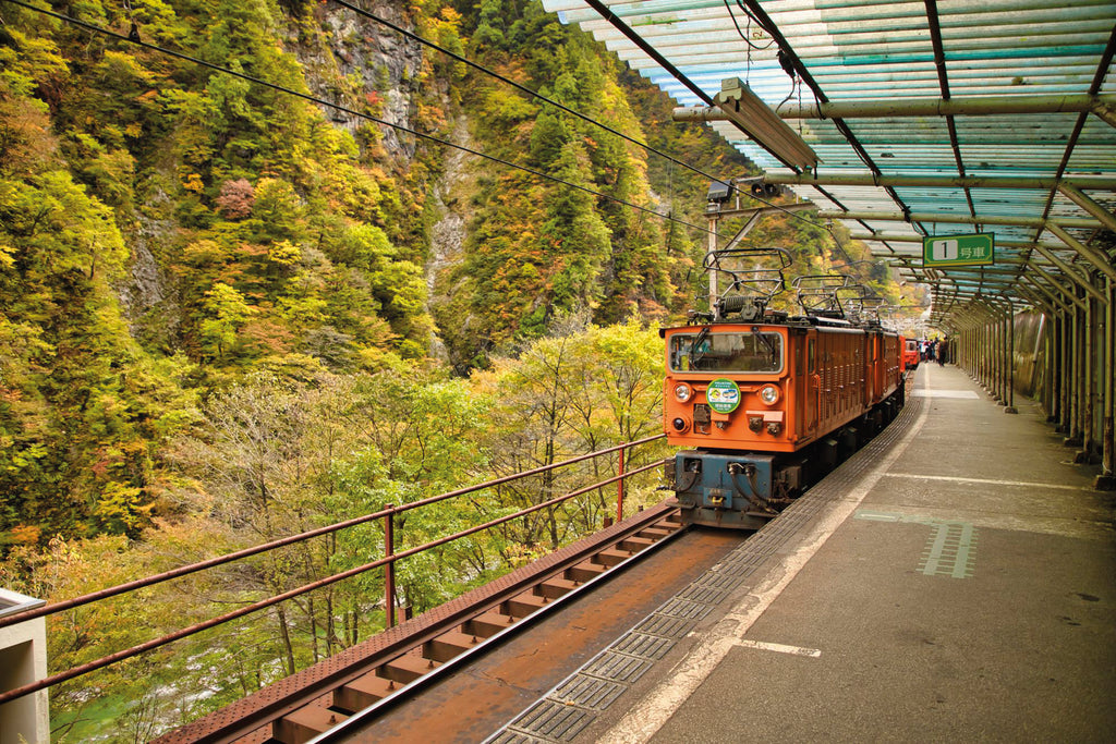 5 conseils pour se déplacer lors d’un voyage au Japon