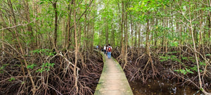 Voyage au Cambodge : quelques sites hors des sentiers battus au pays khmer