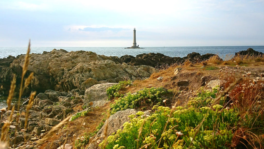 Découvrir les îles de la Manche