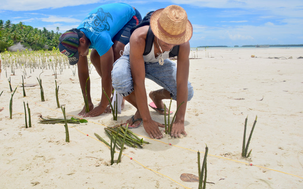 « Pacific Climate Warriors » : les jeunes du Tuvalu, en première ligne des changements climatiques