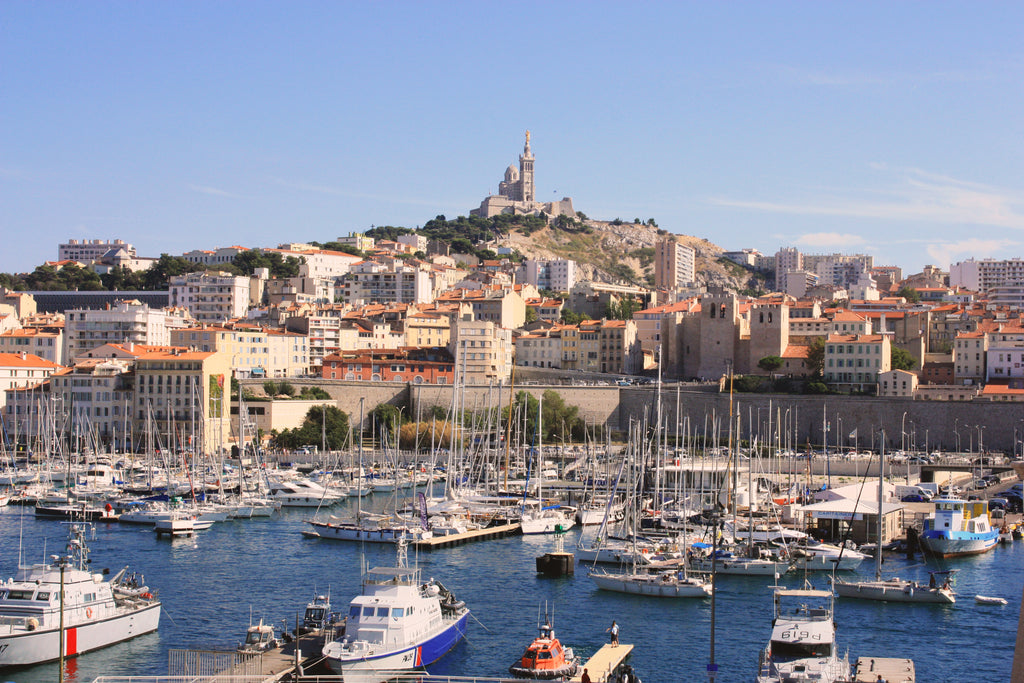 Protéger le monde marin à Marseille avec TV5MONDE !