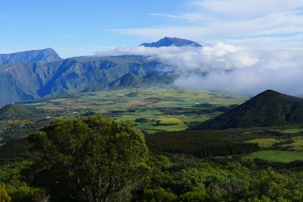 Des initiatives durables sur l'île de La Réunion côté terre avec TV5MONDE