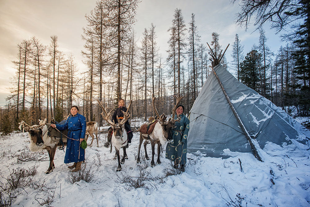 Vivre avec les Tsataans, un peuple nomade éleveurs de rennes