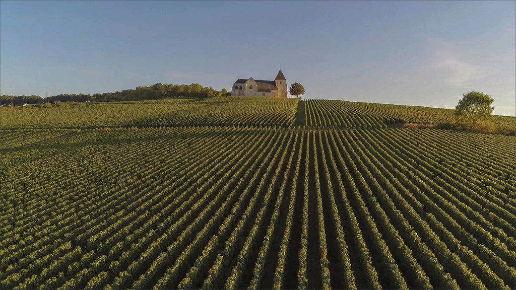 10 adresses pour découvrir la Champagne de façon écologique et responsable