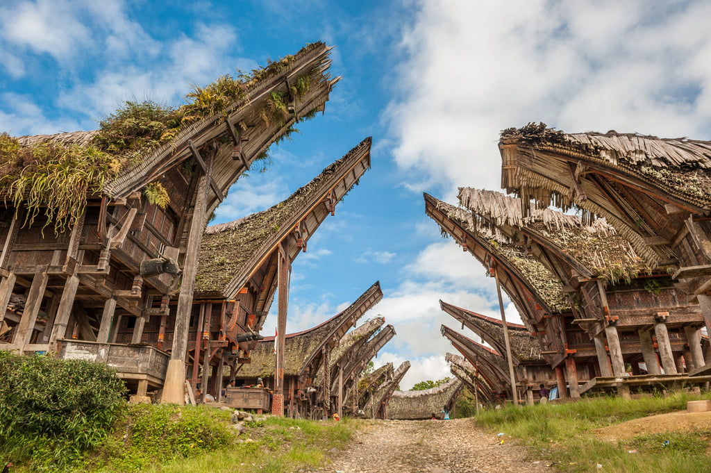 Immersion au pays Toraja pour un voyage hors des sentiers battus en Indonésie
