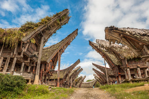 Immersion au pays Toraja pour un voyage hors des sentiers battus en Indonésie