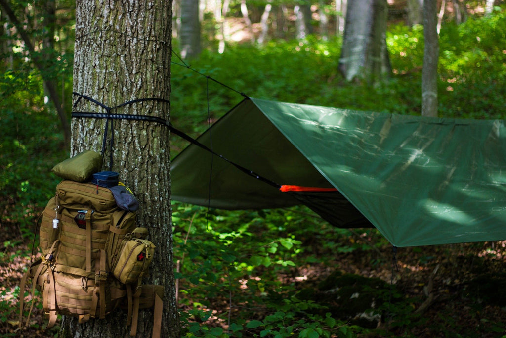 Les essentiels de survie en forêt