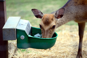 10 adresses afin d'agir pour la protection des animaux en France