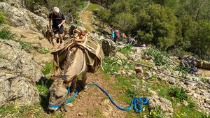 Découvrir la Sardaigne avec une nouvelle agence d’écotourisme