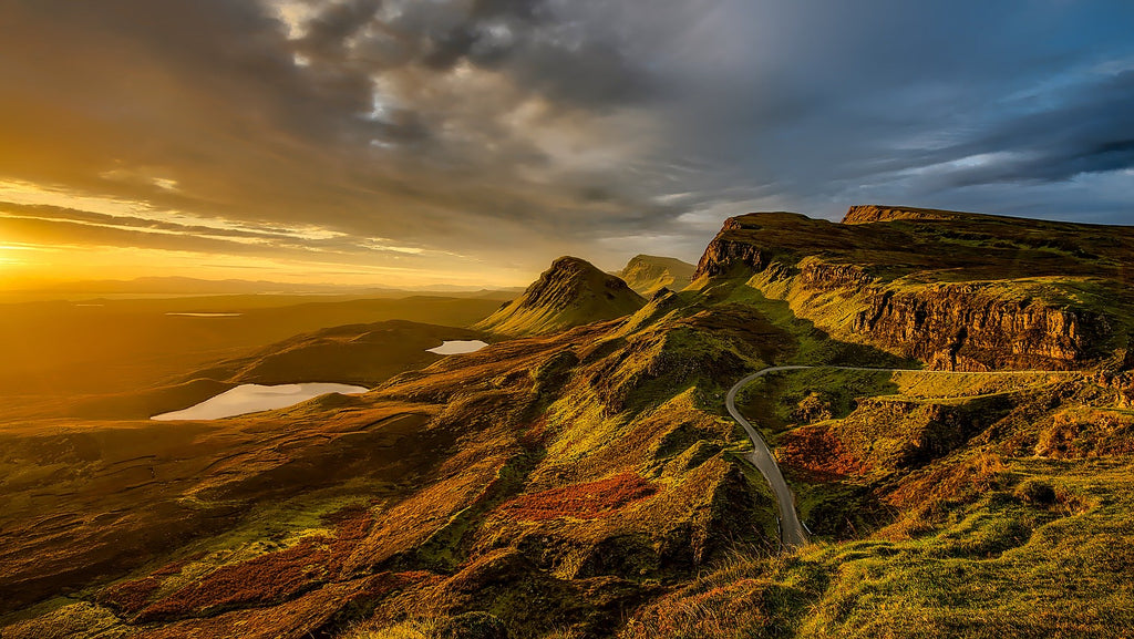 3 volontariats gratuits pour agir en faveur de l'environnement en Ecosse !