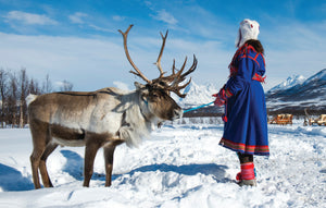 8 adresses éthiques et écolos pour un voyage en Laponie suédoise